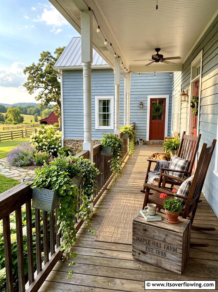 Swedish ivy containers - 25 front porch ideas with cat safe plants