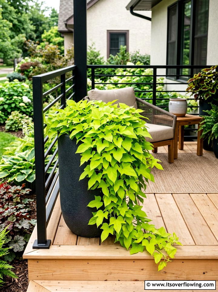 Sweet Potato Vine Spiller - 25 front porch ideas with shade plants