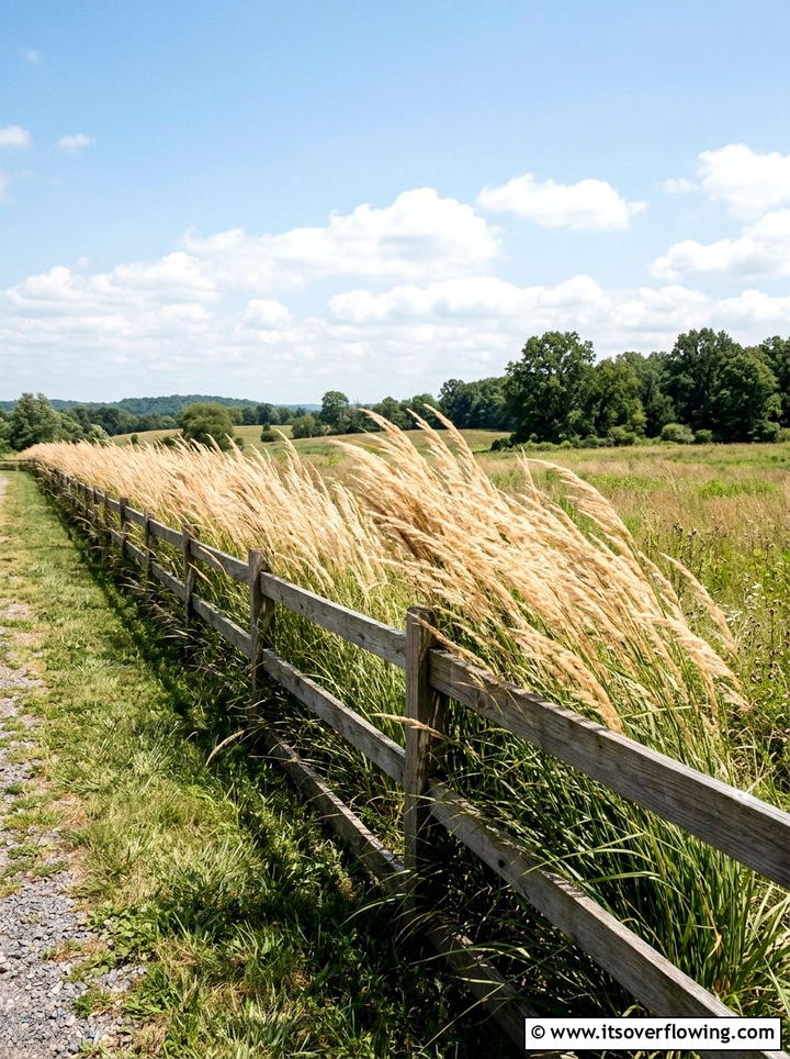Tall Ornamental Grass - 25 garden design ideas with repetition