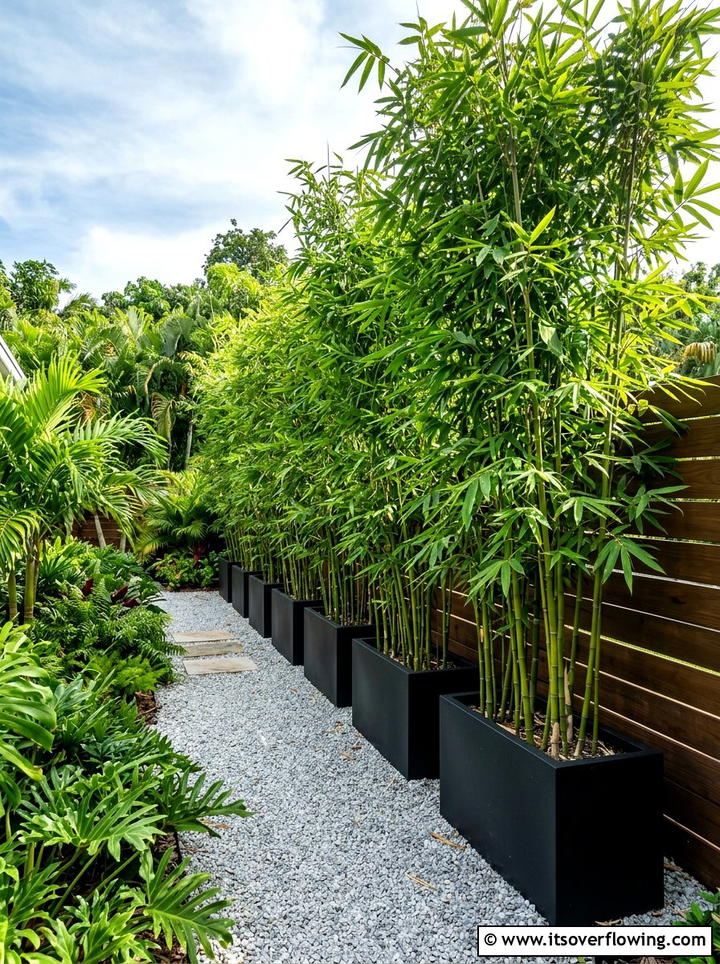 Tall Plants For Privacy - 25 creative garden ideas for small yards