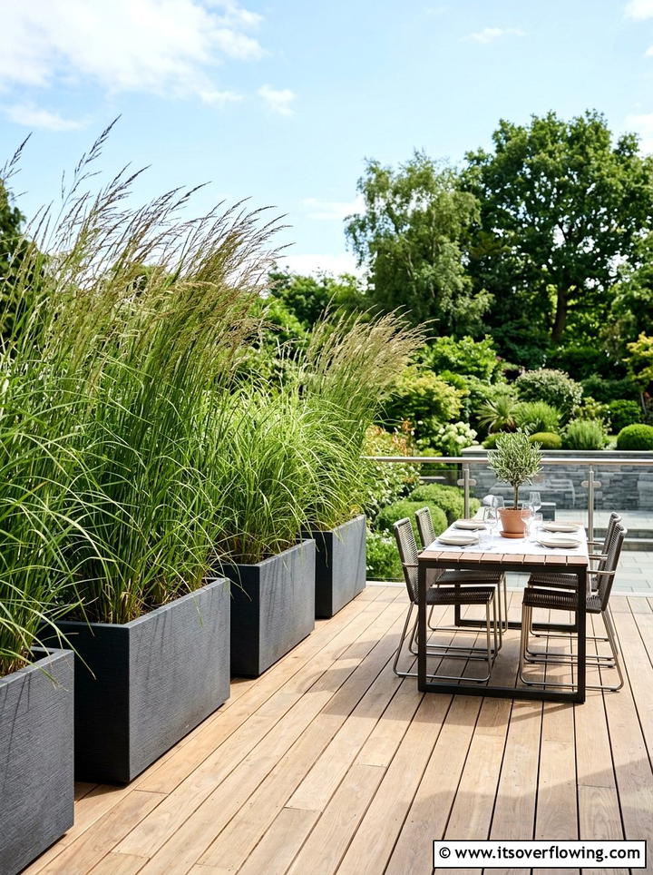 Tall Potted Grasses - 25 garden design ideas with privacy screens