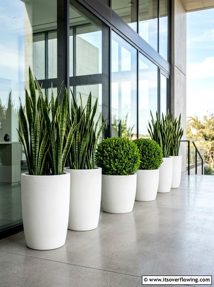 Tall Potted Plants - 25 backyard ideas for narrow yards