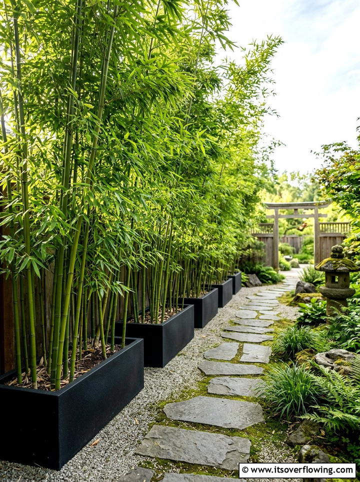 Tall bamboo planter - 25 small garden ideas with privacy screens