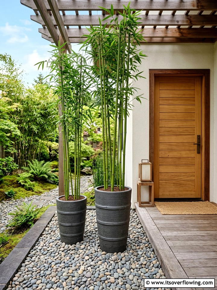 Tall bamboo pots - 25 front porch ideas with tall planters