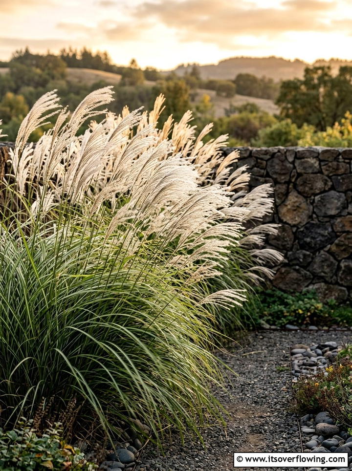 Tall ornamental grass - 25 small garden ideas with zen style