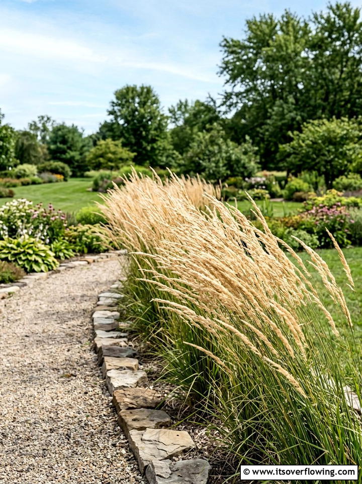 Tall ornamental grasses - 25 small garden ideas with privacy screens