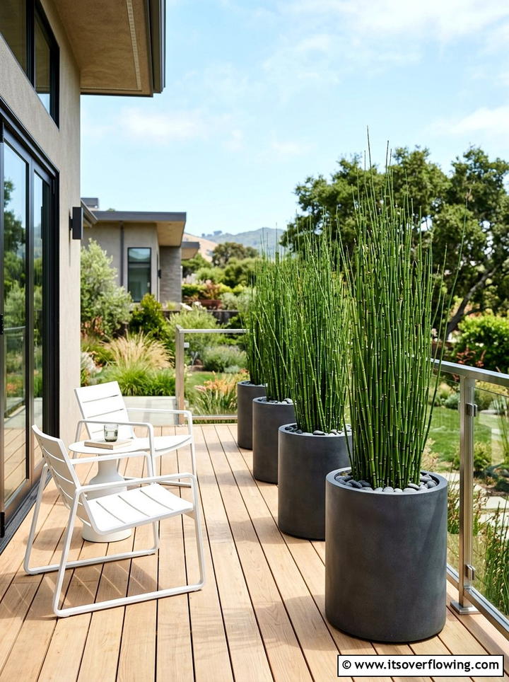 Tall potted plants - 25 backyard ideas with privacy screens