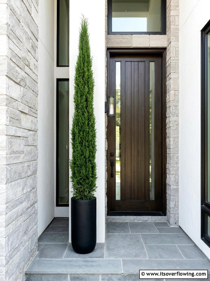 Tall skinny porch topiary - 25 front porch ideas with topiaries