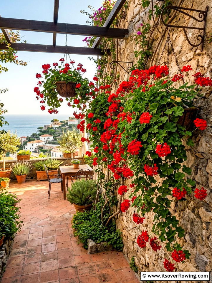 Trailing Ivy Geranium - 25 garden ideas with hanging baskets