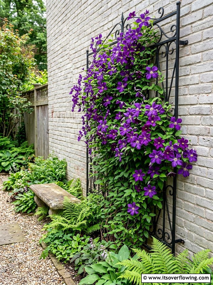 Trellis Climbing Plant - 25 cheap garden ideas for small spaces
