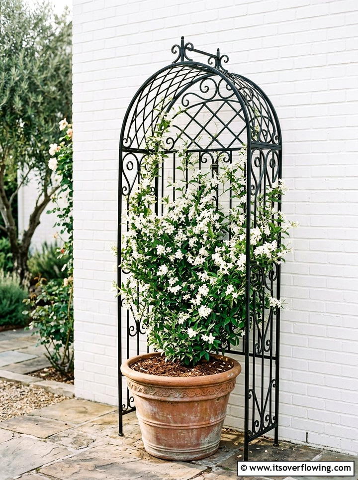 Trellis For Climbing Plants - 25 small garden ideas for renters