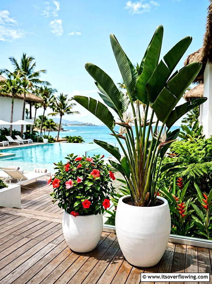 Tropical Deck Plant - 25 garden design ideas for decks