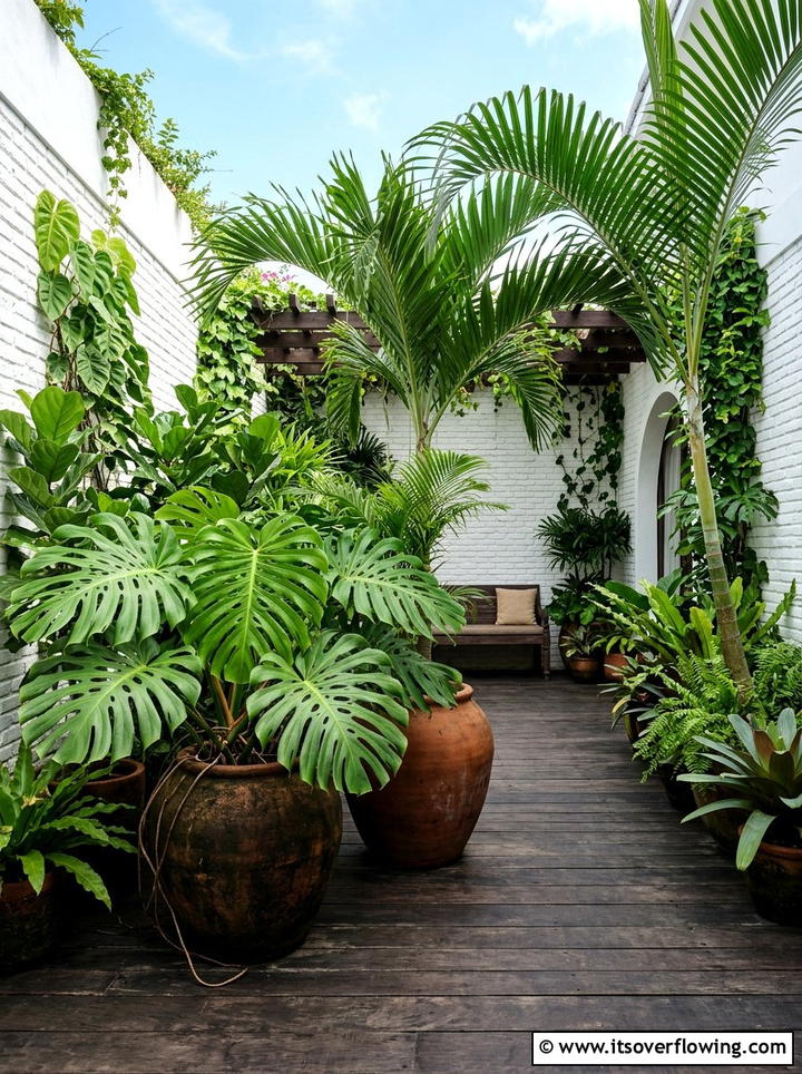 Tropical Leafy Plants - 25 garden ideas for courtyards