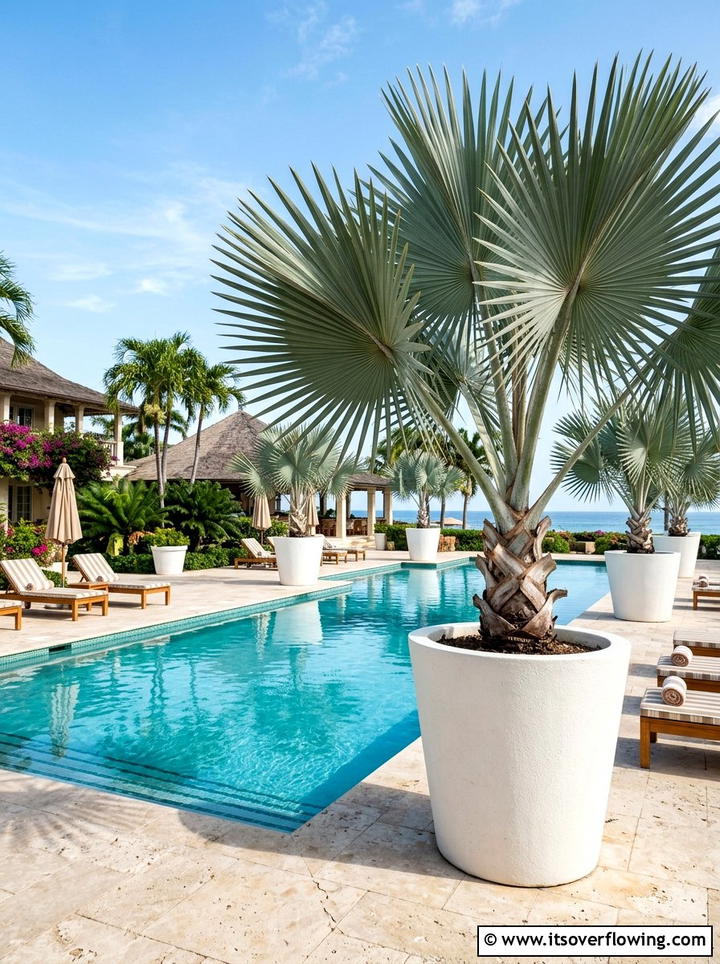 Tropical Palm Poolside - 25 backyard decorating ideas with potted trees