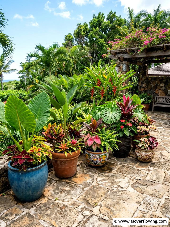 Tropical container garden - 25 garden design ideas with tropical foliage