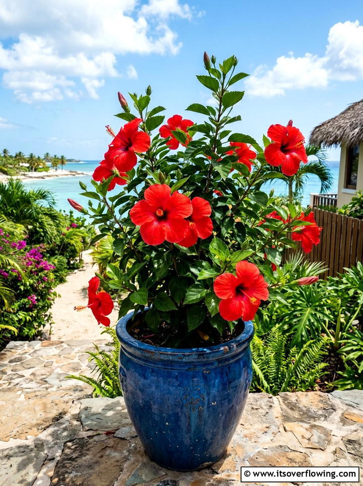 Tropical hibiscus in porch pots - 25 front porch ideas with sun loving plants