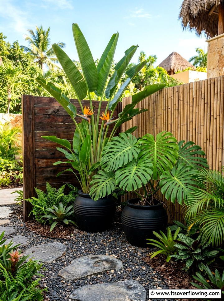 Tropical plant corner - 25 garden design ideas for small yards