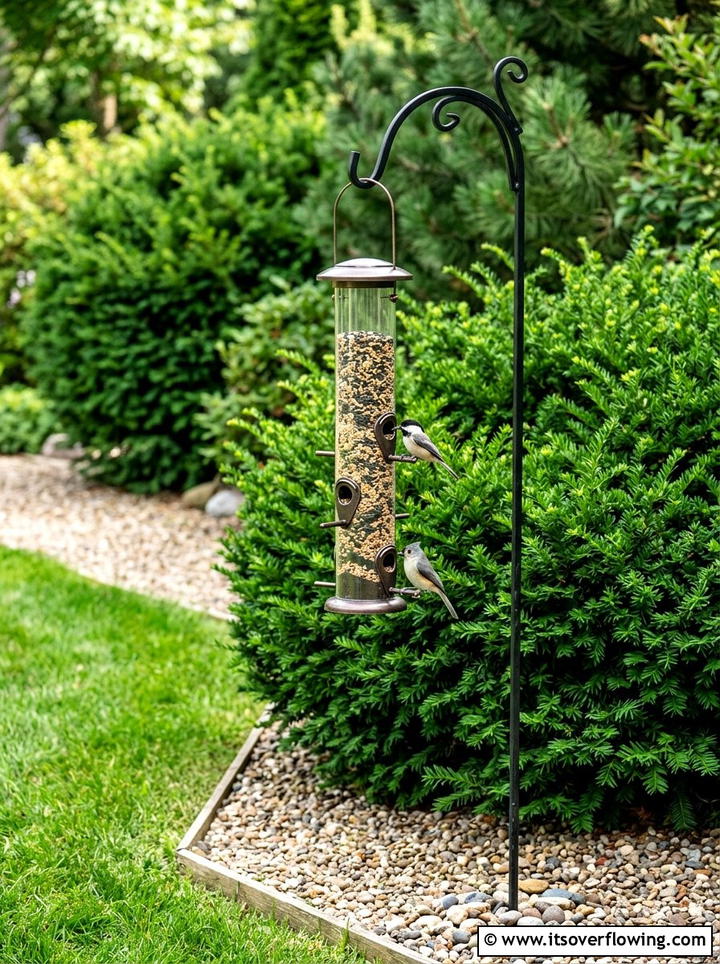 Tube bird feeder near evergreen shrubs - 25 garden ideas with bird feeders