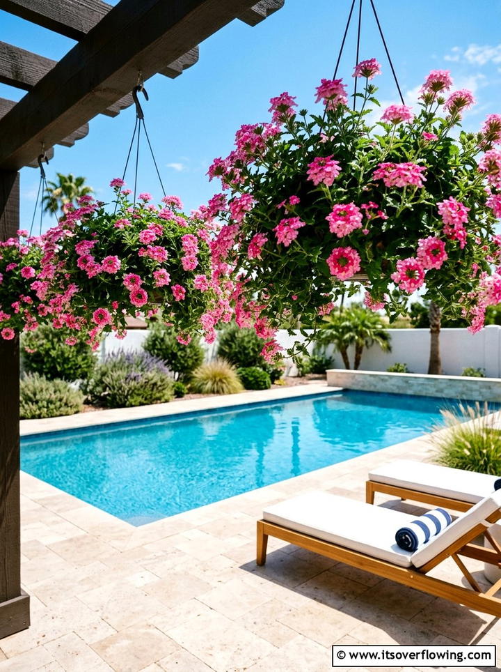 Verbena Heat Tolerant - 25 garden ideas with hanging baskets
