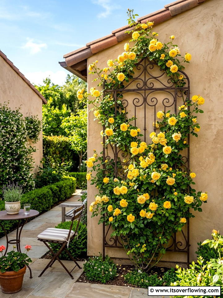 Vertical Rose Trellis - 25 garden ideas with roses