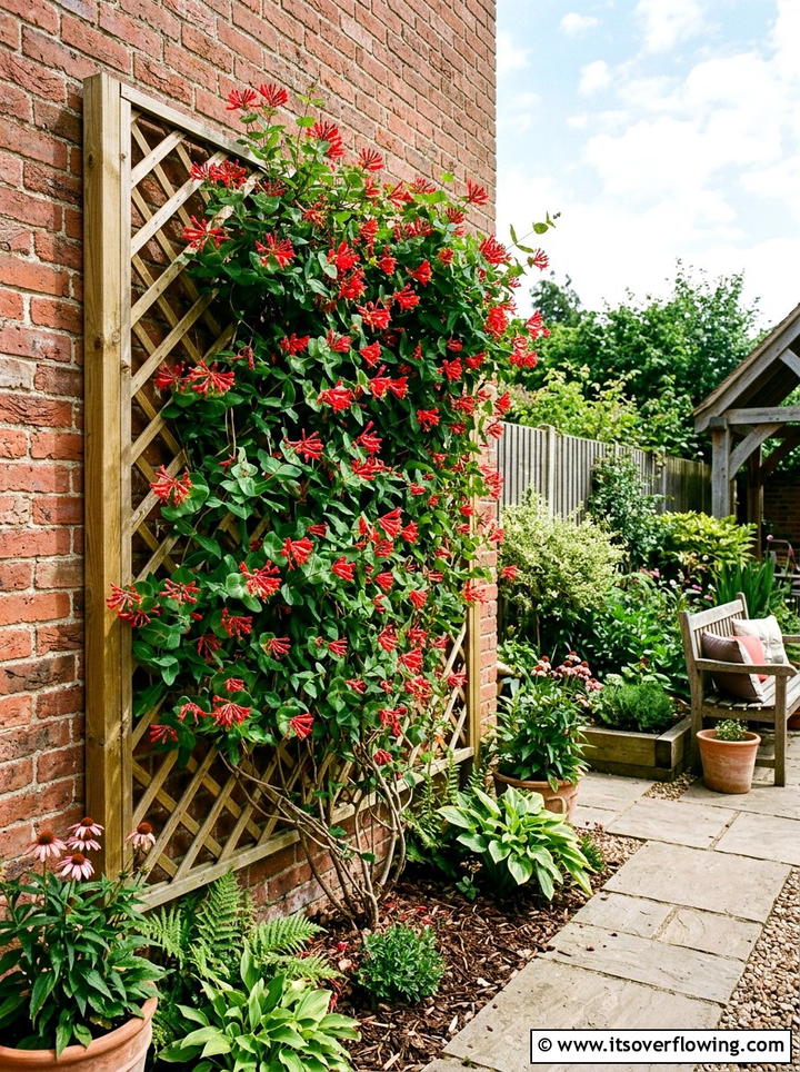 Vertical garden with climbers - 25 cheap garden ideas with native plants