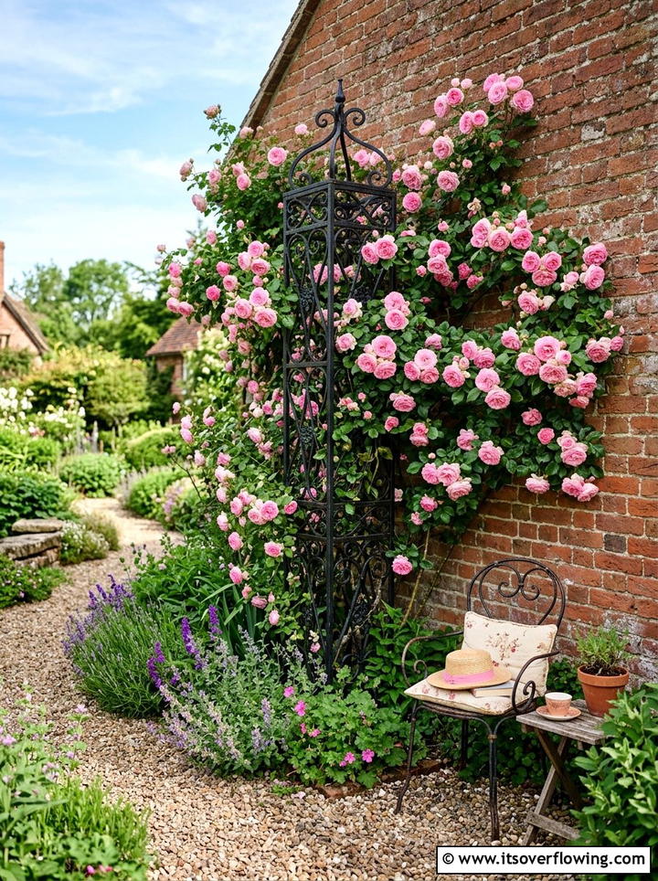 Vertical trellis climbing plants - 25 backyard ideas for townhouse yards