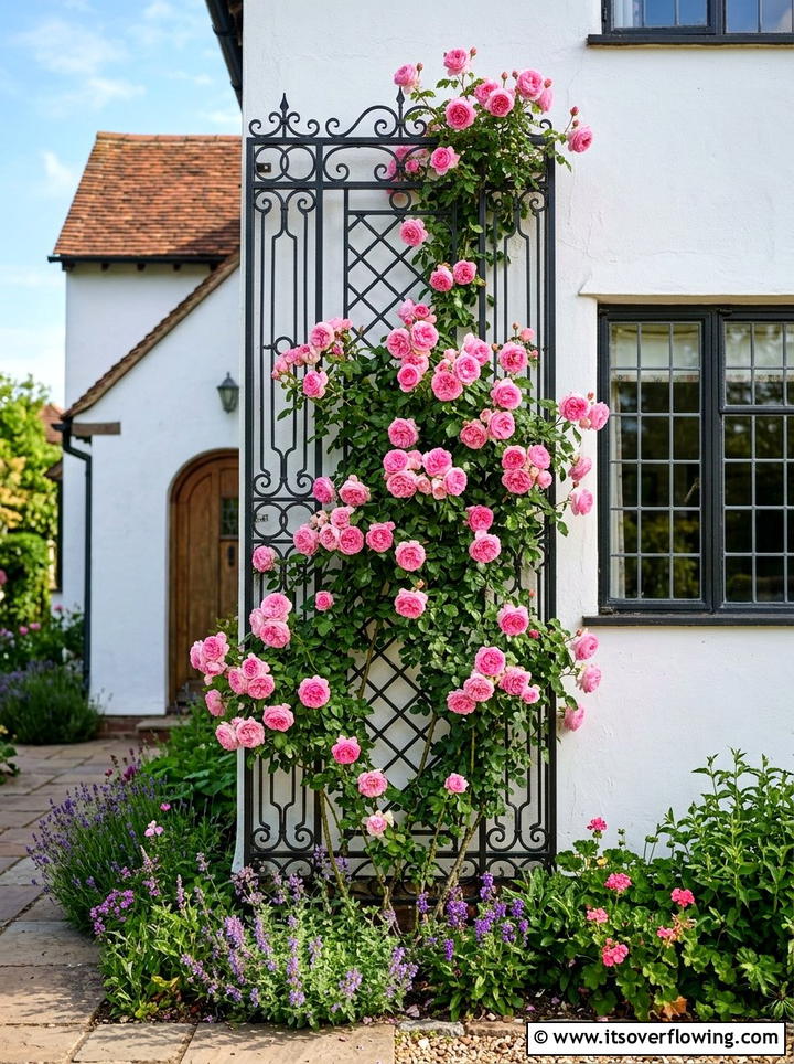 Vertical trellis for vines - 25 small garden ideas for side yard