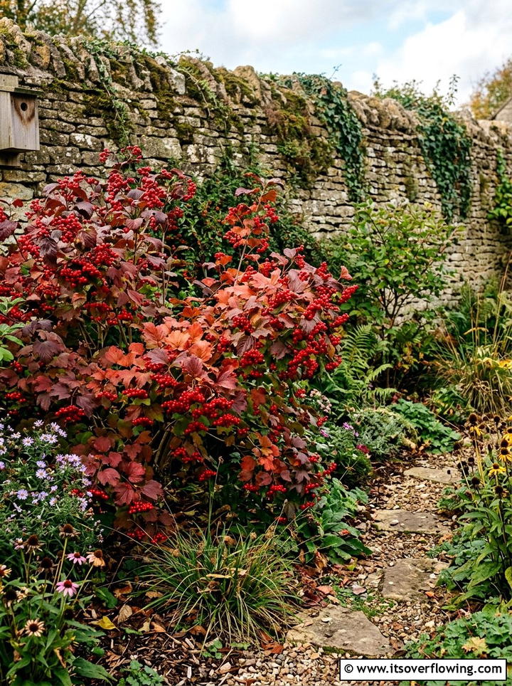Viburnum berry clusters - 25 creative garden ideas for fall color