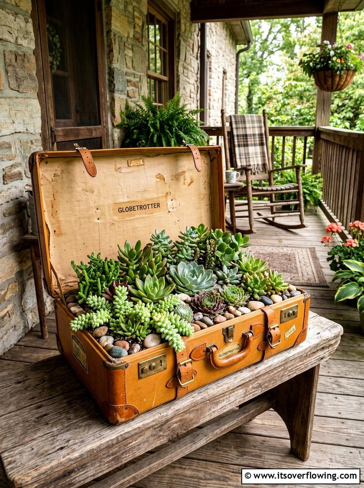 Vintage suitcase succulent garden - 25 reusing old things ideas for succulent garden