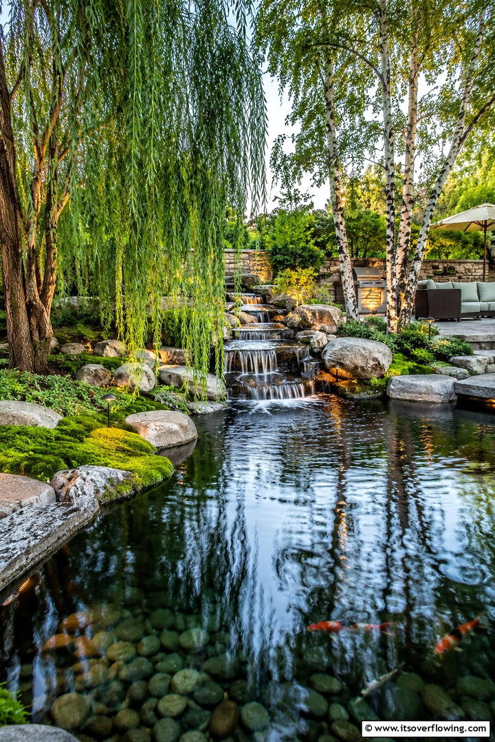 Water Feature with Tree Accents - 30 Tree Landscaping Ideas for Shade, Privacy, and Curb Appeal