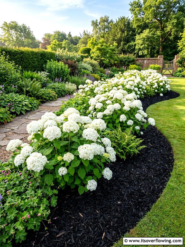 White Hydrangea With Dark Mulch - 25 creative garden ideas with black and white gardens