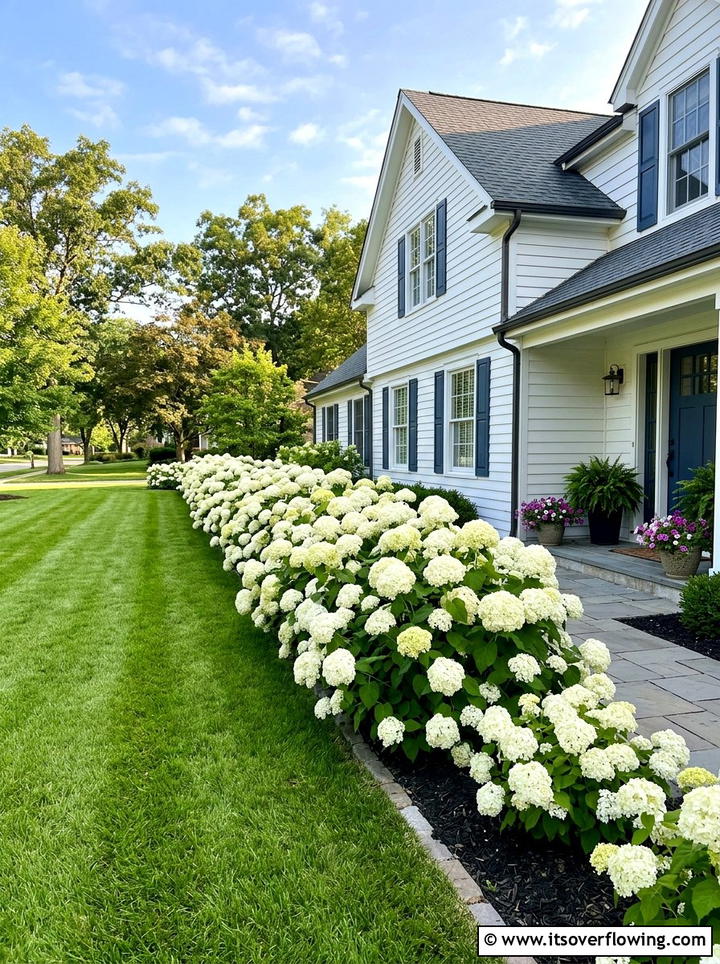 White hydrangea border - 25 creative garden ideas with white flower gardens