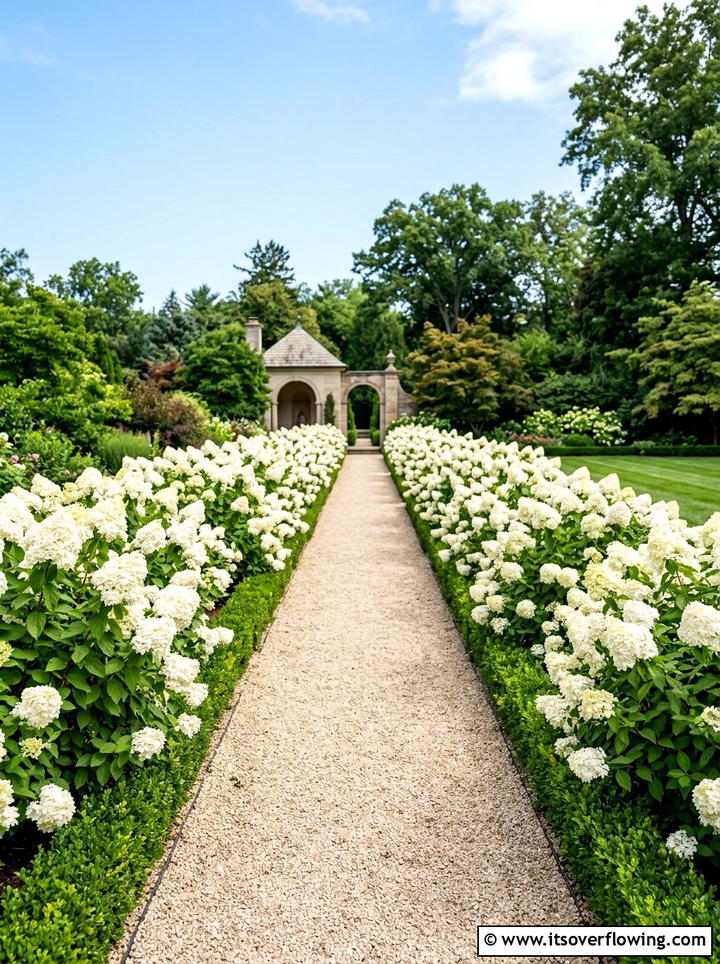 White hydrangea garden walkway - 25 garden ideas with hydrangeas