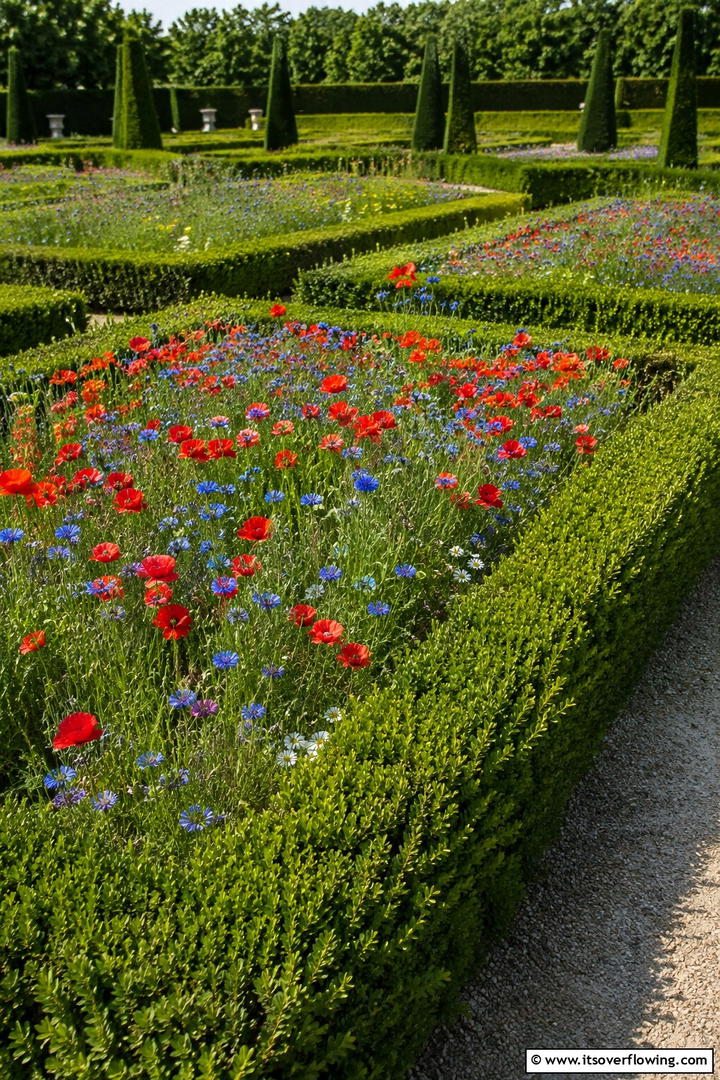 Wildflower Integration - 30 Parterre Garden Ideas for Elegant Outdoor Spaces
