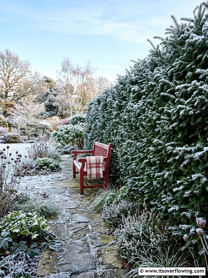 Winter Evergreen Hedge - 25 backyard ideas with hedges