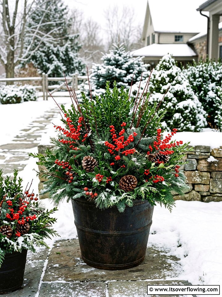 Winter Evergreen Pot Arrangement - 25 garden design ideas with container clusters