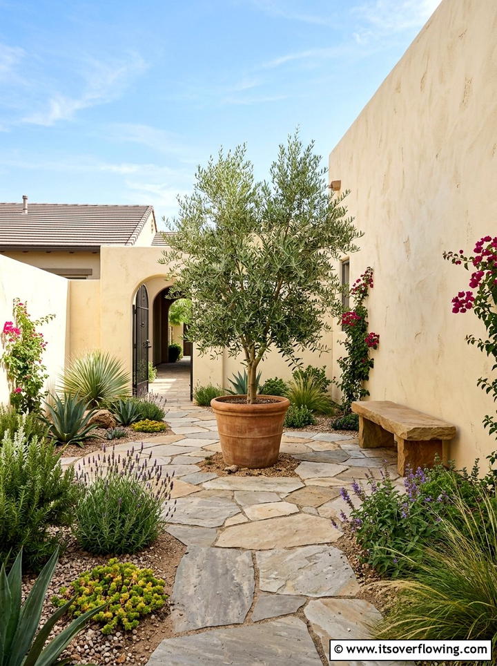 Xeriscape Courtyard - 25 backyard ideas with drought tolerant plants
