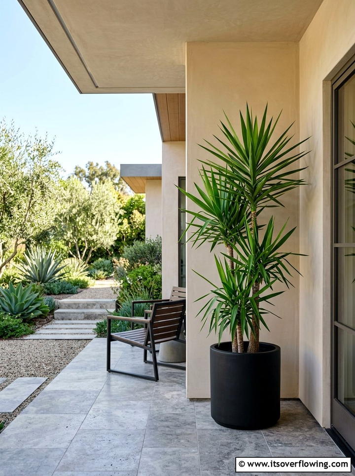 Yucca Plant For Minimalist Look - 25 front porch ideas with low maintenance plants