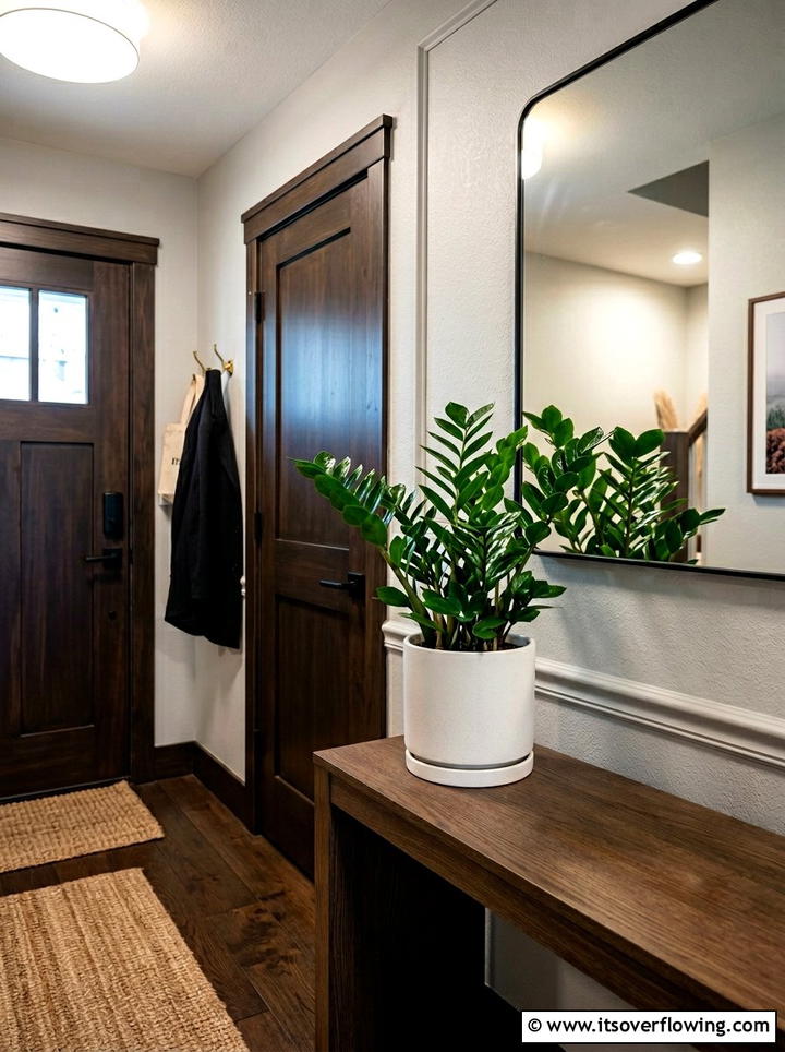 ZZ Plant For Low Light Entryways - 25 front porch ideas with low maintenance plants