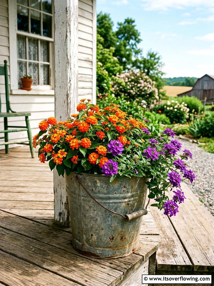 Zinc Bucket Planter - 25 creative garden ideas with butterfly habitats